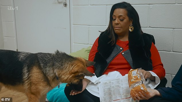 كانت أليسون، التي لم تمتلك كلبًا من قبل، تجري مقابلة مع كلير لويز في ميلتون كينز من أجل ميزة هذا الصباح المرأة المذهلة التي أنقذت 27 كلبًا